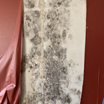 Mold