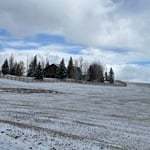 Ranch style fence