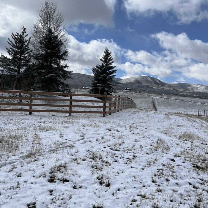Ranch style fence