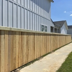 Palm Fence
