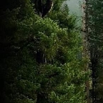Spot the climber