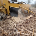 Stump grinding in action