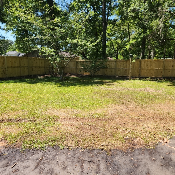 Fence