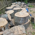 Stacking wood