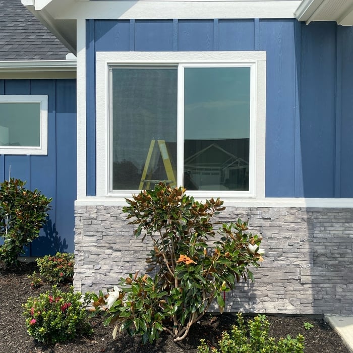 gorgeous full home tint