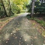 Driveway Before