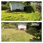 fresh mowing around the shed