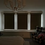 Black Out Woven Wood Shades
