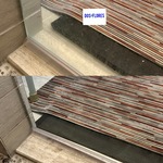 Glass Shower Doors