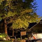 Tree/Patio