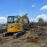 Tree and brush removal