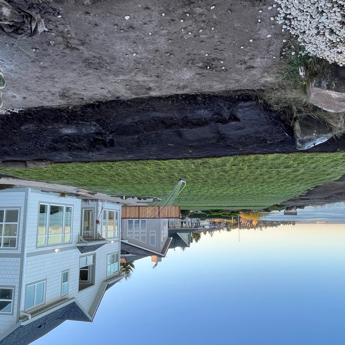Sod Installation