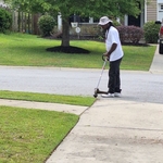 Lawn Edging
