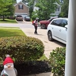 Trimming Shrubs