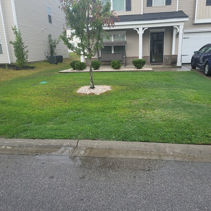 Lawn Maintenance