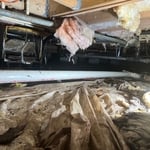 Crawlspace before