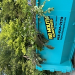 Storm Cleanup in East Nashville