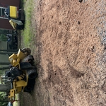 Stump grinding