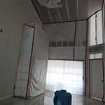 Mold Remediation