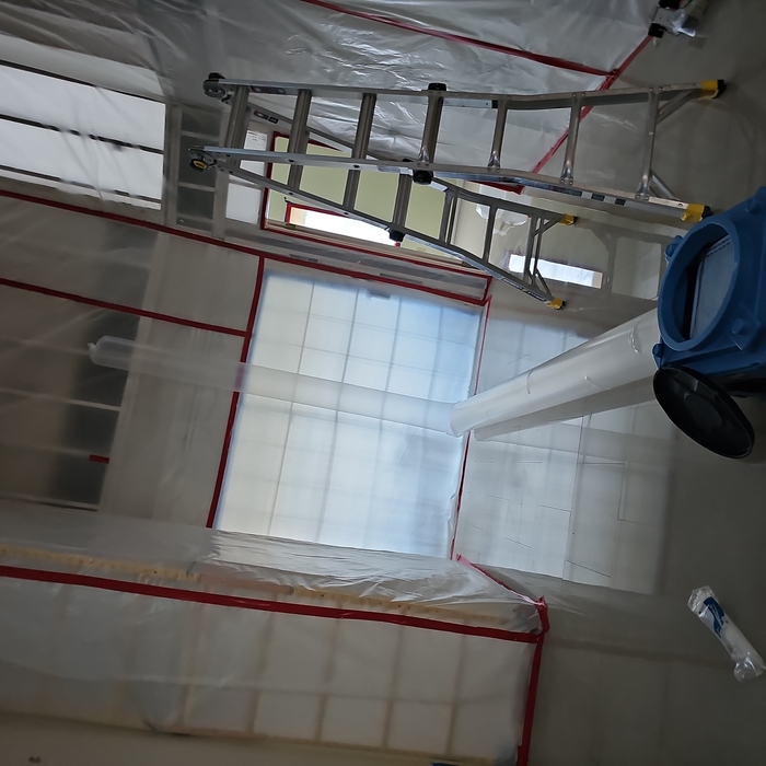 Mold Remediation
