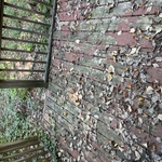 Deck Rebuild
