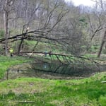 Photos