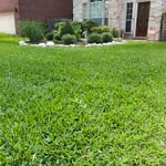 Lawn Care Service Photo