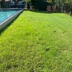 Lawn Care Service Photo