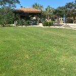 Lawn Care Service Photo