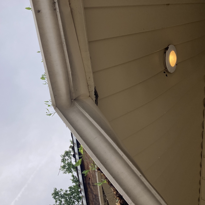 Damaged Gutter
