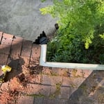 Gutter Guard Installation / Service