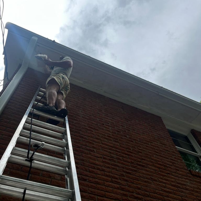 painting eaves