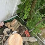 Meta Tree Services
