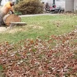 Project Photos