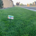 Lawn