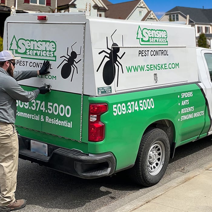 Pest Control