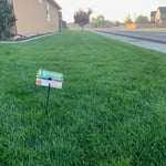 Lawn