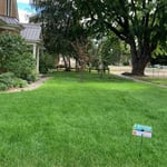 Lawn