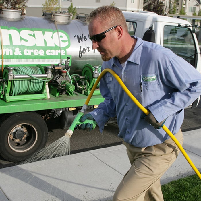 Lawn Care