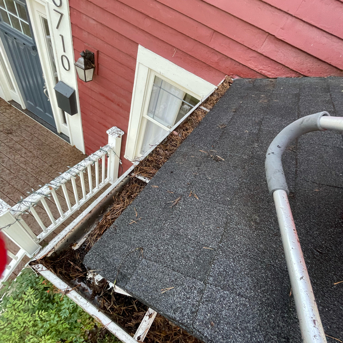 Gutter Cleaning