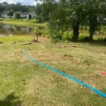 Fence removed
