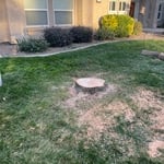 grinding stump