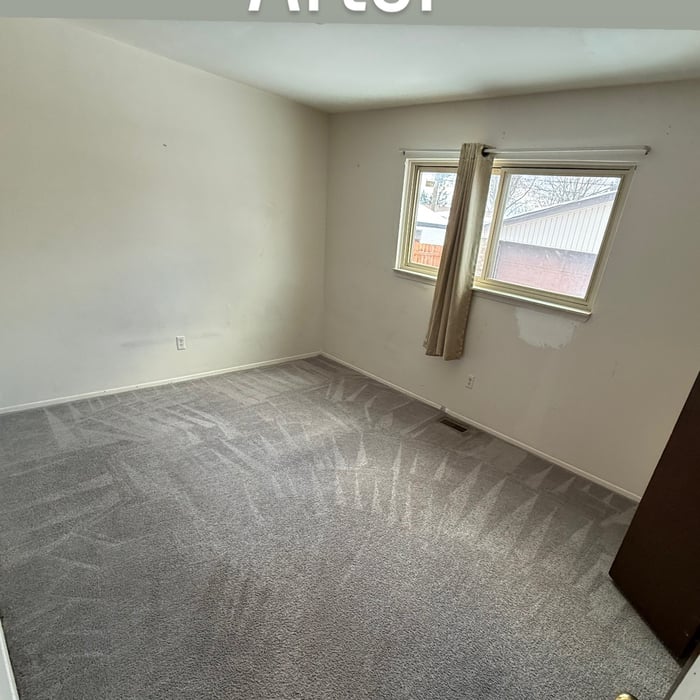Carpet cleaning