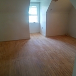 Floor refinish