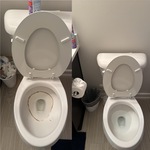 toilet