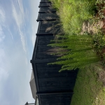 Wood and metal fencing