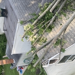 Emergency removal