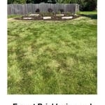 What We Can Do For You