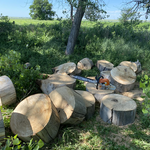 TREE SERVICES