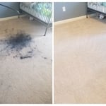 Spot/Stain Removal